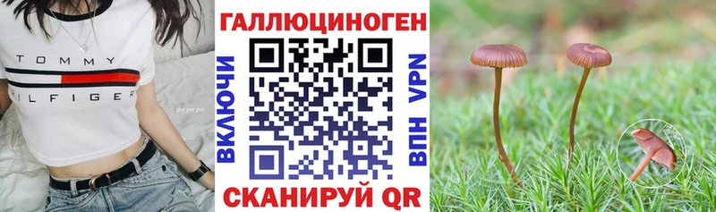 Галлюциногенные грибы Psilocybe  купить   Евпатория 