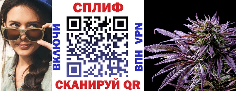hydra как зайти  Евпатория  Бошки марихуана White Widow 
